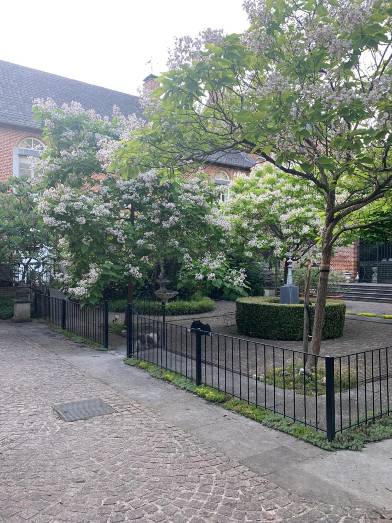 Willa Vakantie Huizen De Heerlijkheid Satenbergh Heers Zewnętrze zdjęcie